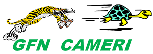 GFN Cameri